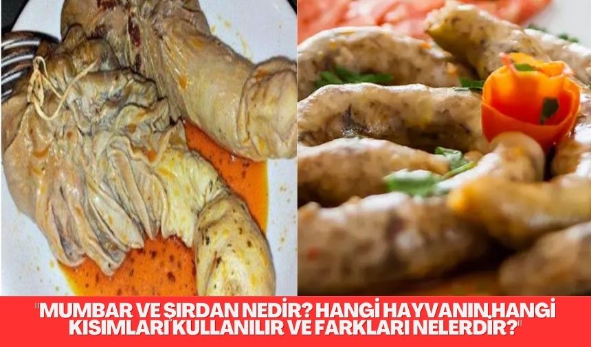 “Mumbar ve şırdanın hangi