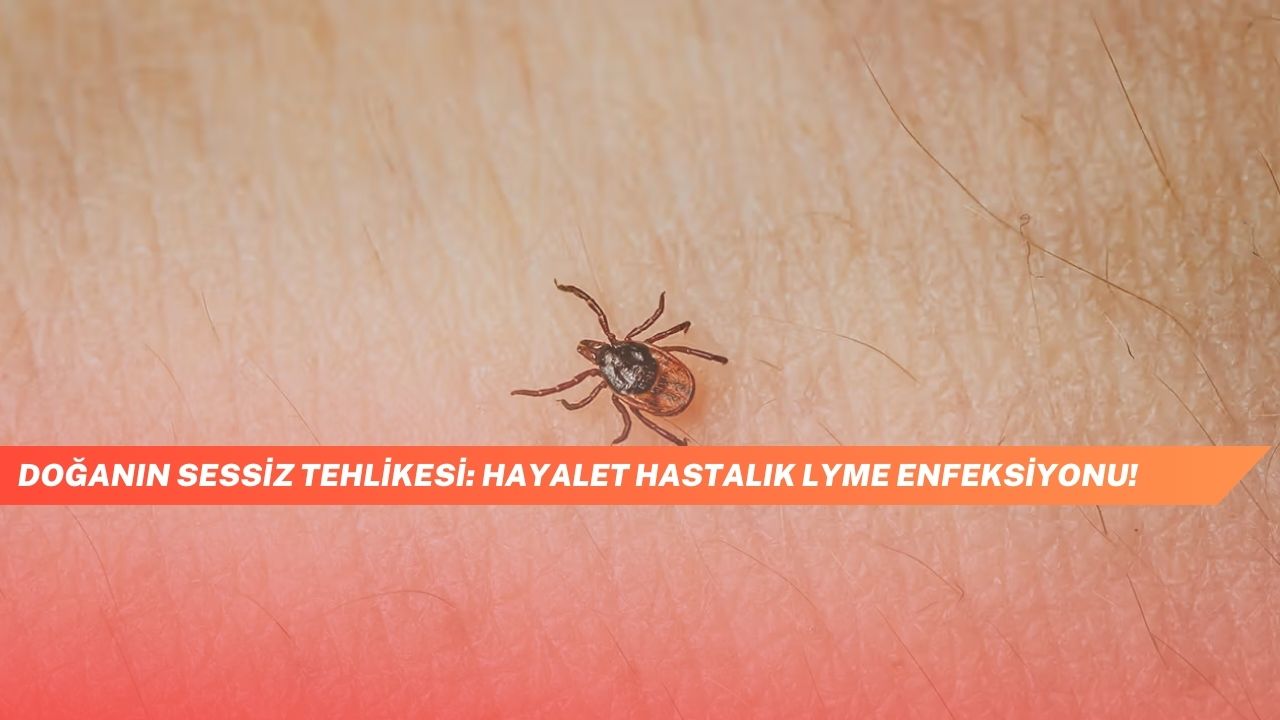 Doganin Sessiz Tehlikesi Hayalet Hastalik Lyme Enfeksiyonu 2
