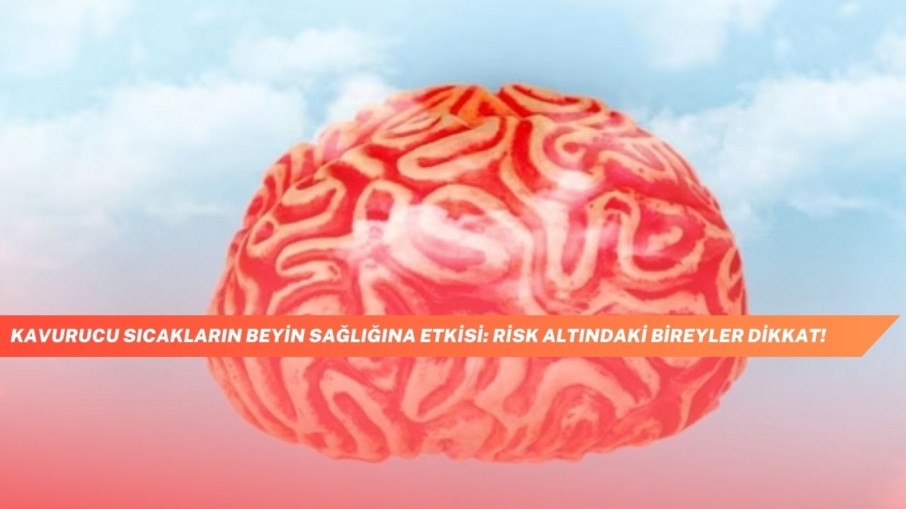 Kavurucu Sicaklarin Beyin Sagligina Etkisi Risk Altindaki Bireyler Dikkat 2