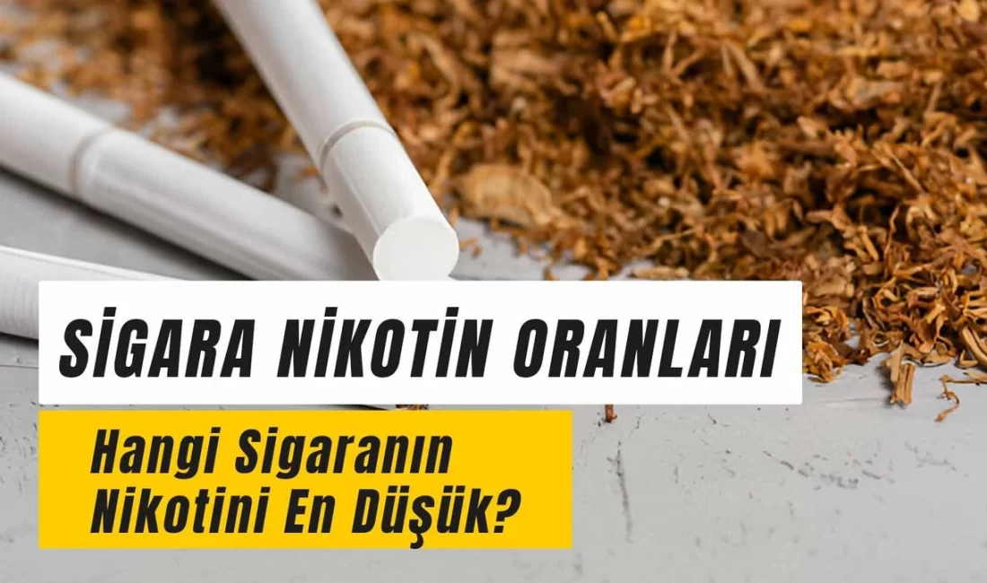 Sigara Nikotin Oranları 2024: Nikotini En Yüksek ve En Az Olan Sigara Hangisi?