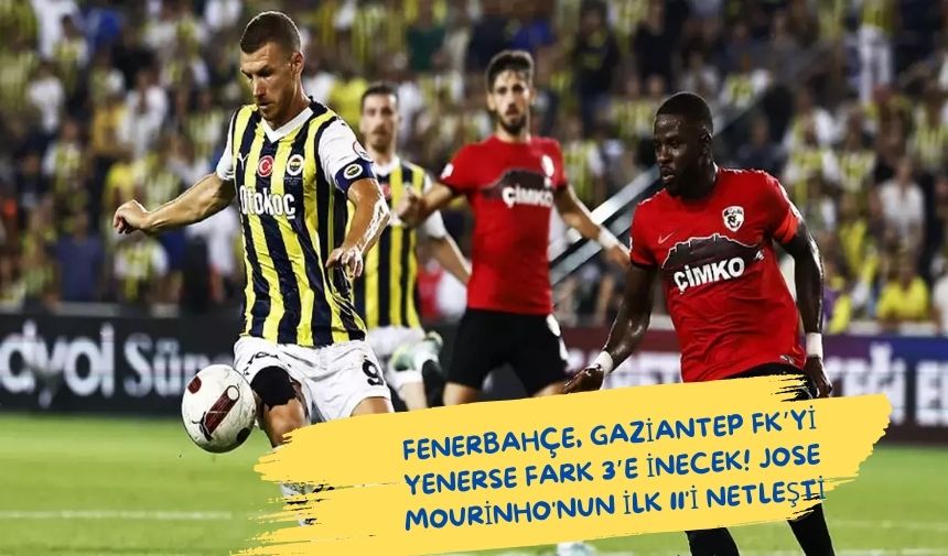 Fenerbahçe Gaziantep FK Maçı